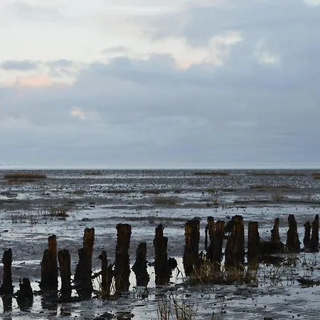 Lyngvejen Xxi Σπίτι διακοπών *